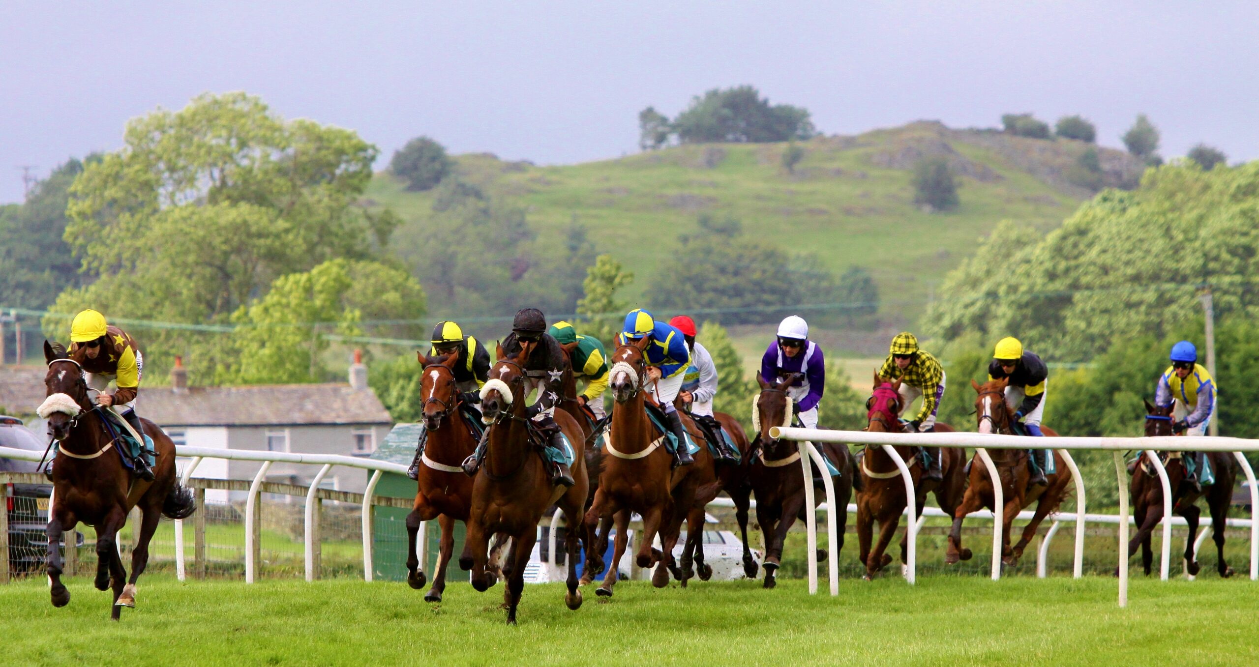 Image of horses racing at Cartmel Racecourse