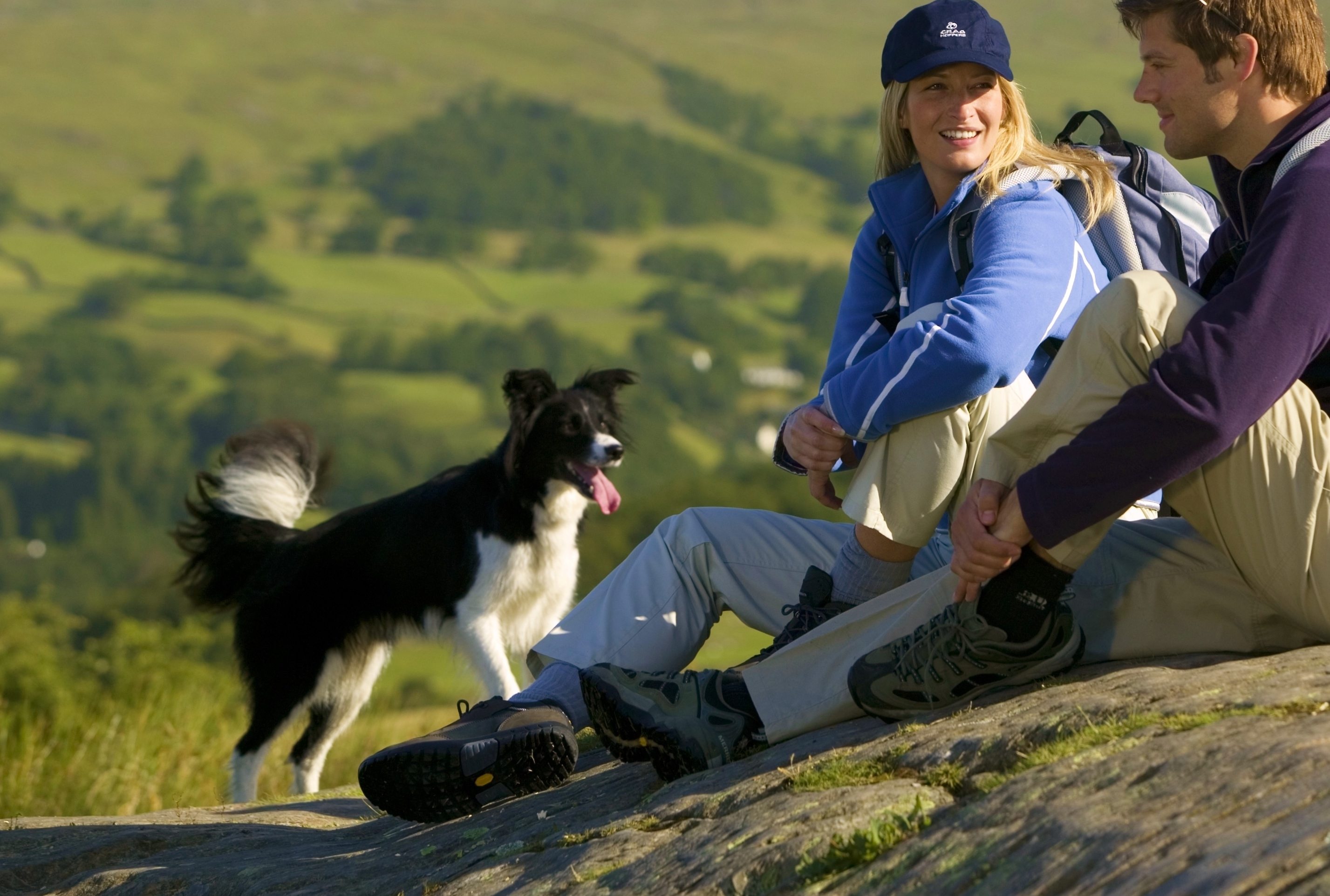 holiday cottages lake district dog friendly