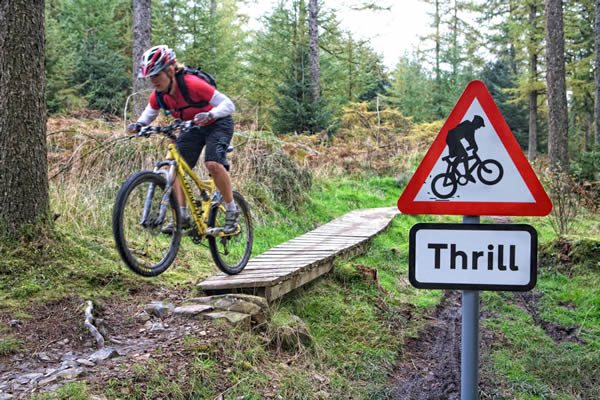 grizedale mtb trails