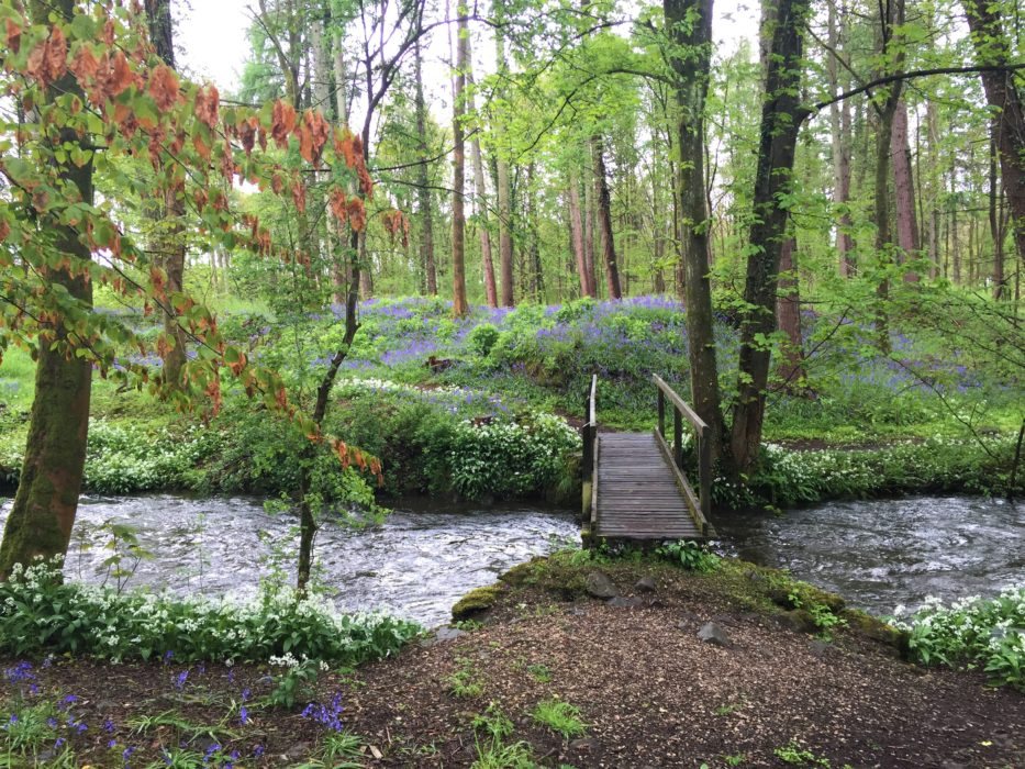 Why you should visit the Lake District in Spring - Holiday Cottages Cumbria